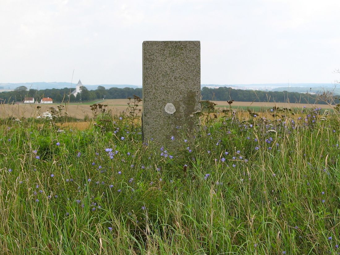 Bavnehøj / Molger