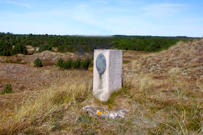 Mølklitten / Råbjerg Plantage