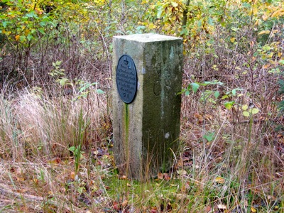 Søhedens Bakke / Pajhede Skov