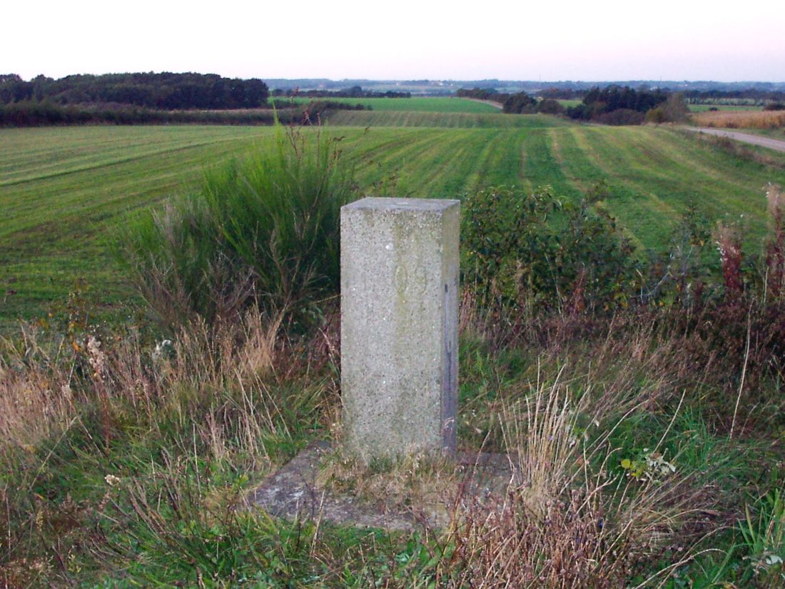 Nørremark / Tjæreborg