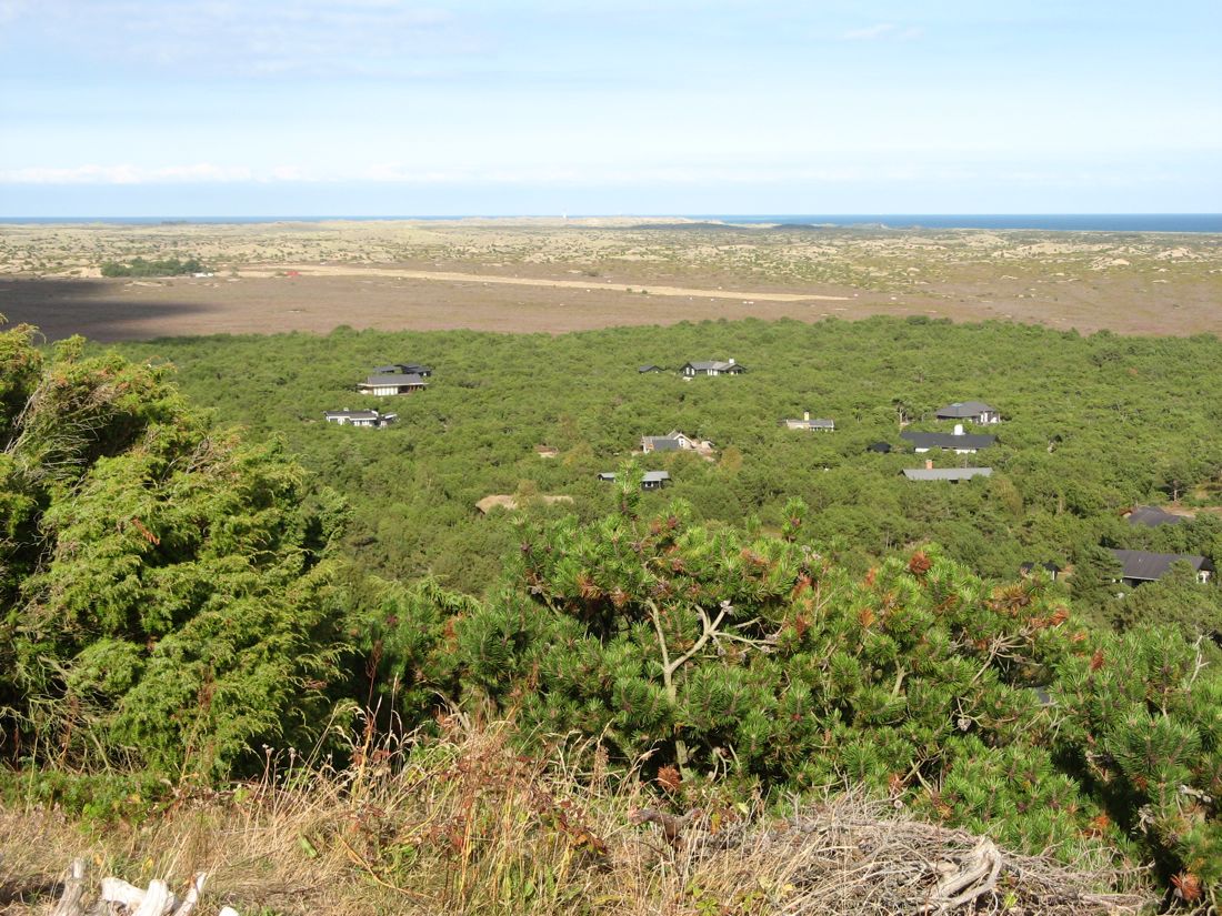 Udsigt fra Sønderbjerg